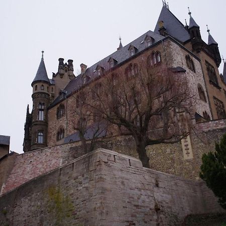 Ferienwohnung Schuur - Harz ハッセルフェルデ エクステリア 写真