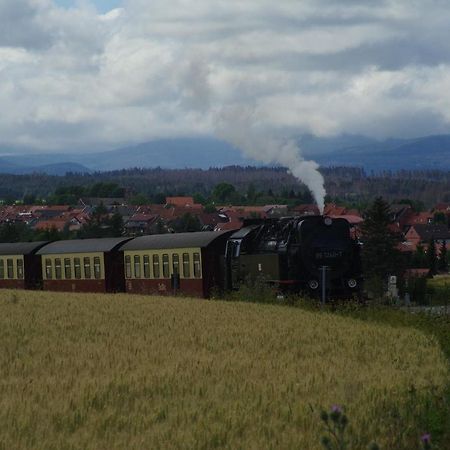 Ferienwohnung Schuur - Harz ハッセルフェルデ エクステリア 写真