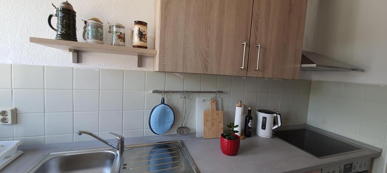 Ferienwohnung Schuur - Harz ハッセルフェルデ エクステリア 写真