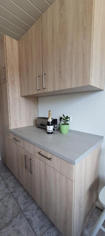 Ferienwohnung Schuur - Harz ハッセルフェルデ エクステリア 写真