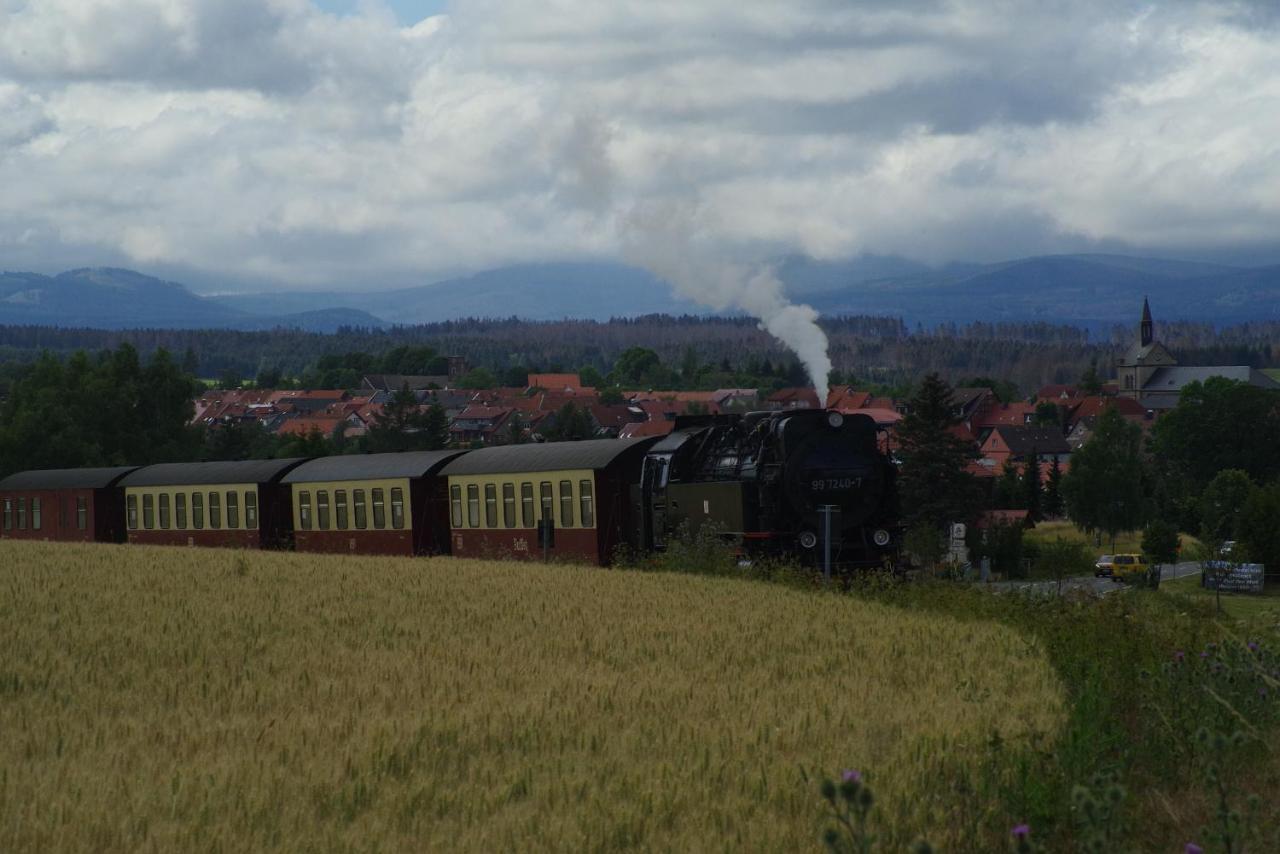 Ferienwohnung Schuur - Harz ハッセルフェルデ エクステリア 写真