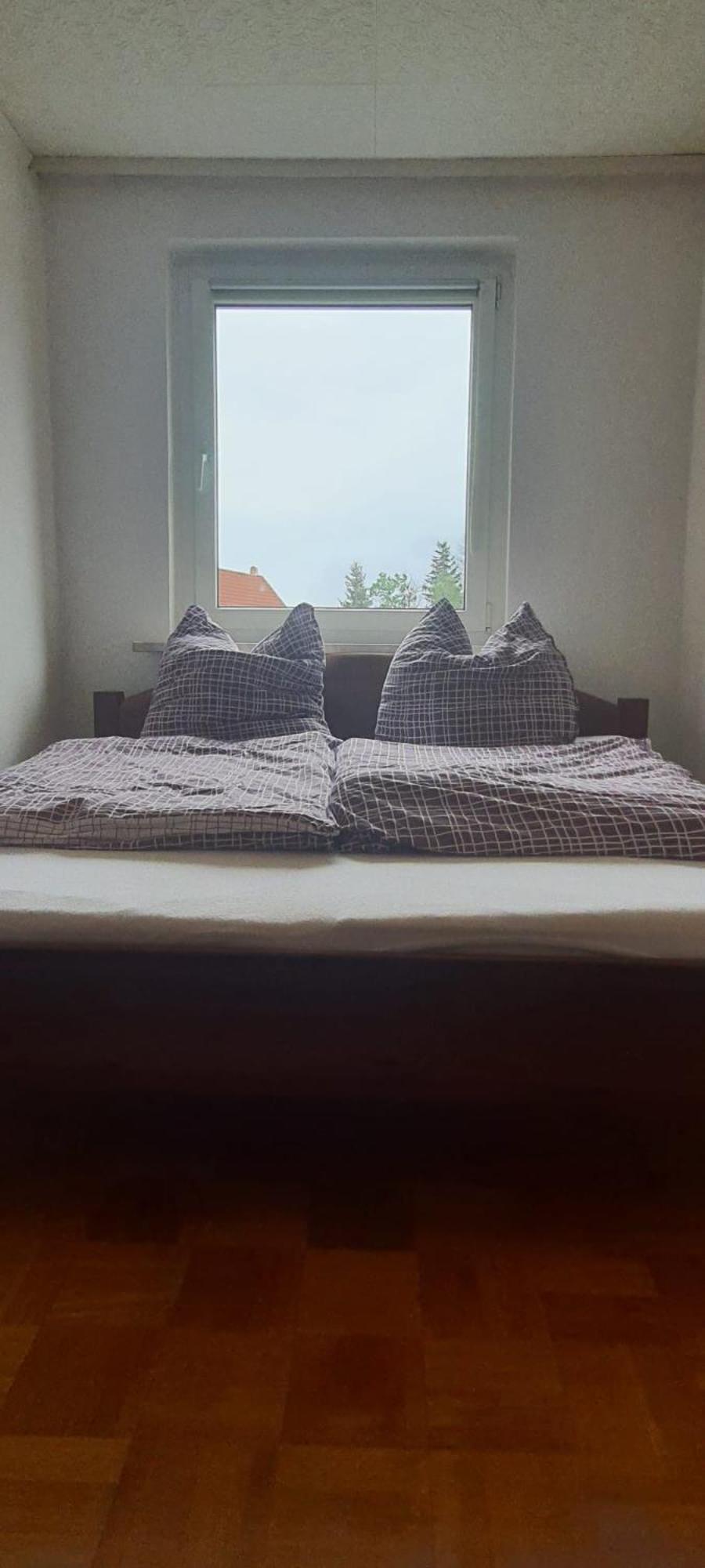 Ferienwohnung Schuur - Harz ハッセルフェルデ エクステリア 写真